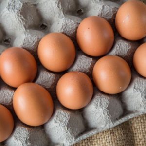 Das Ei: klein, oval und ganz schön viel drin – Fakten, Tipps & Rezepte