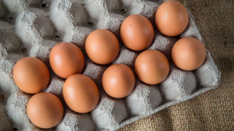 Das Ei: klein, oval und ganz schön viel drin – Fakten, Tipps & Rezepte