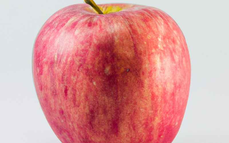 Fazit: Äpfel Entsaften einfach gemacht