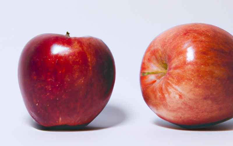 Mit dem Thermomix Äpfel entsaften: Eine Schritt-für-Schritt Anleitung