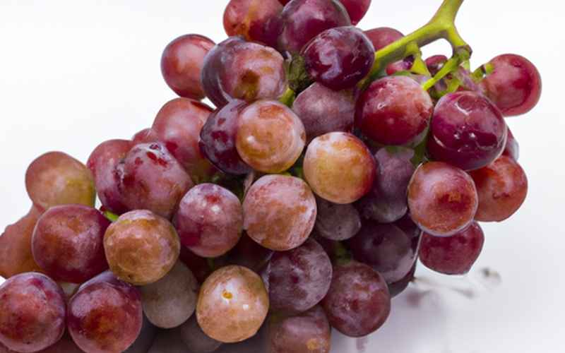 Weintrauben kalt entsaften: Eine frische Alternative